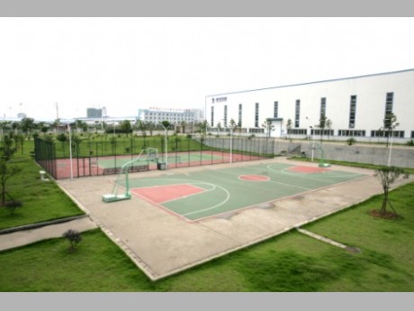 篮球场和网球场